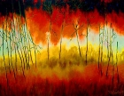 Artist Portfolio Catalogue Preview
