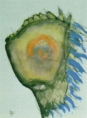 Artist Portfolio Catalogue Preview