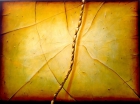Artist Portfolio Catalogue Preview